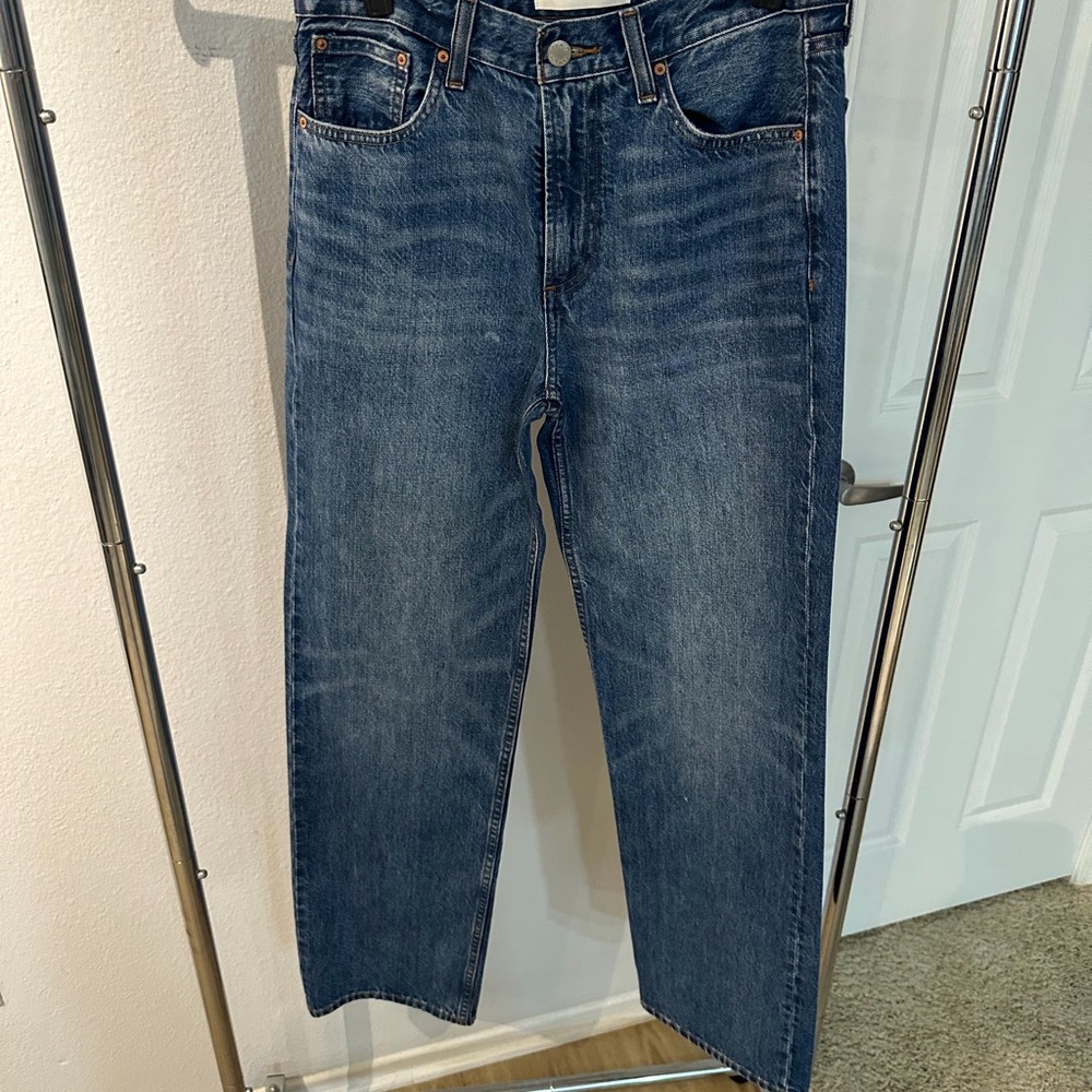 Aritzia - Denim Forum ‘90’s Iggy Lo-Rise Baggy Jeans